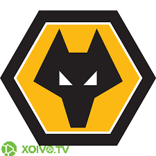 Wolverhampton Xoivo TV