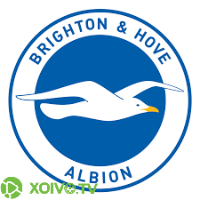 Brighton & Hove Albion Xoivo TV
