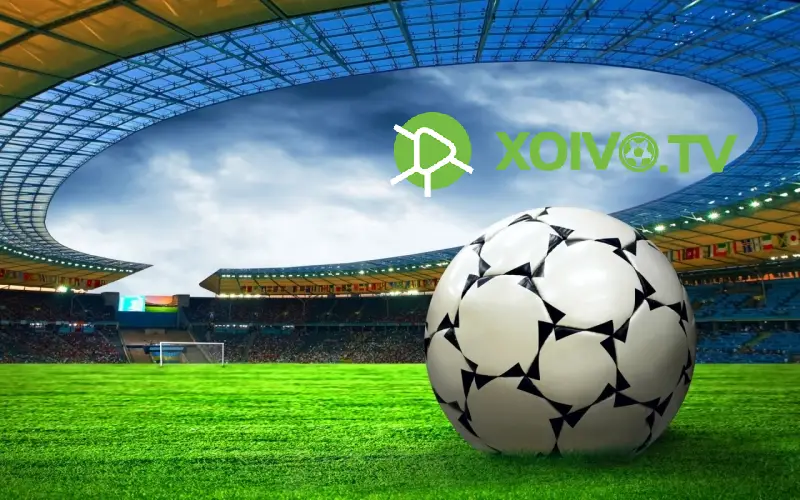 Điều khoản và dịch vụ Xoivo TV