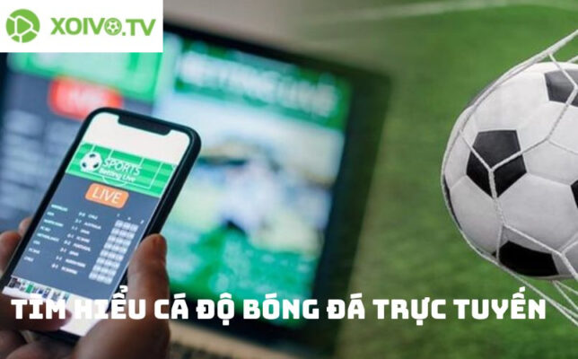 Xoivotv Biz - Cá độ bóng đá trực tuyến gia tăng lợi nhuận