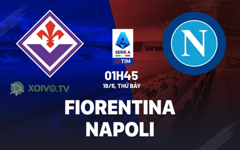 Xoivotv Biz - Soi kèo Fiorentina vs Napoli: 01h45 ngày 18/05